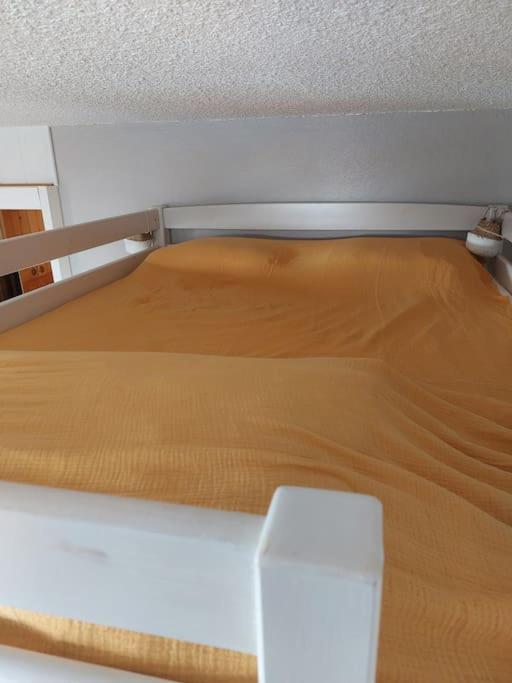 Appartement Aux Coches 6 Personnes 1 Chambre 23M2 8 Couchages 라 플라뉴 외부 사진